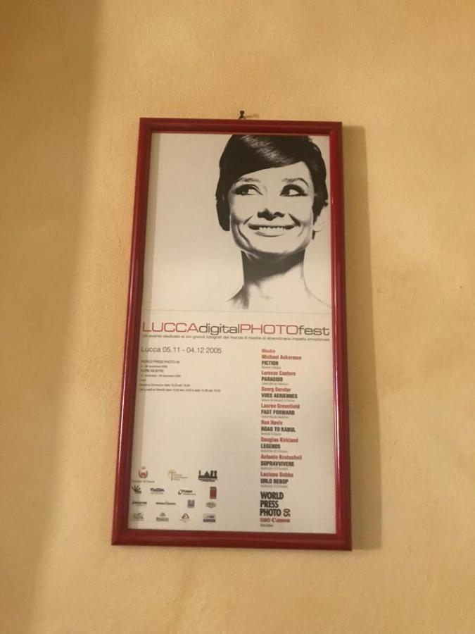 Boccherini'S Home Ad Un Passo Dal Duomo Di 卢卡 外观 照片